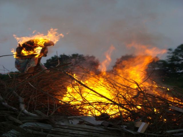Frydenlund Fuglepark 2007 058.jpg