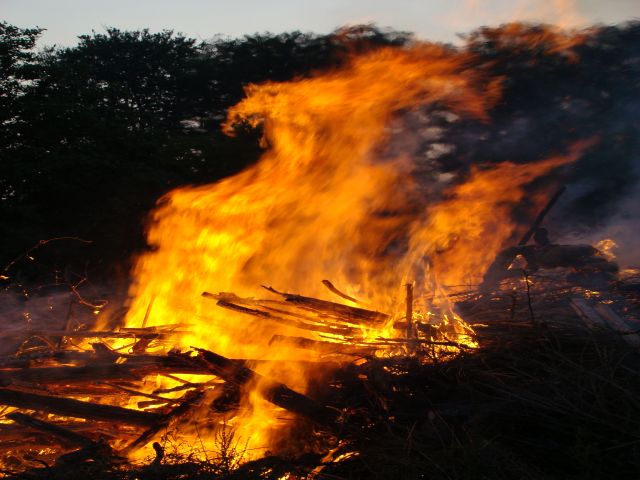 Frydenlund Fuglepark 2007 060.jpg