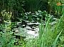 Frydenlund Fuglepark 2007 036.jpg